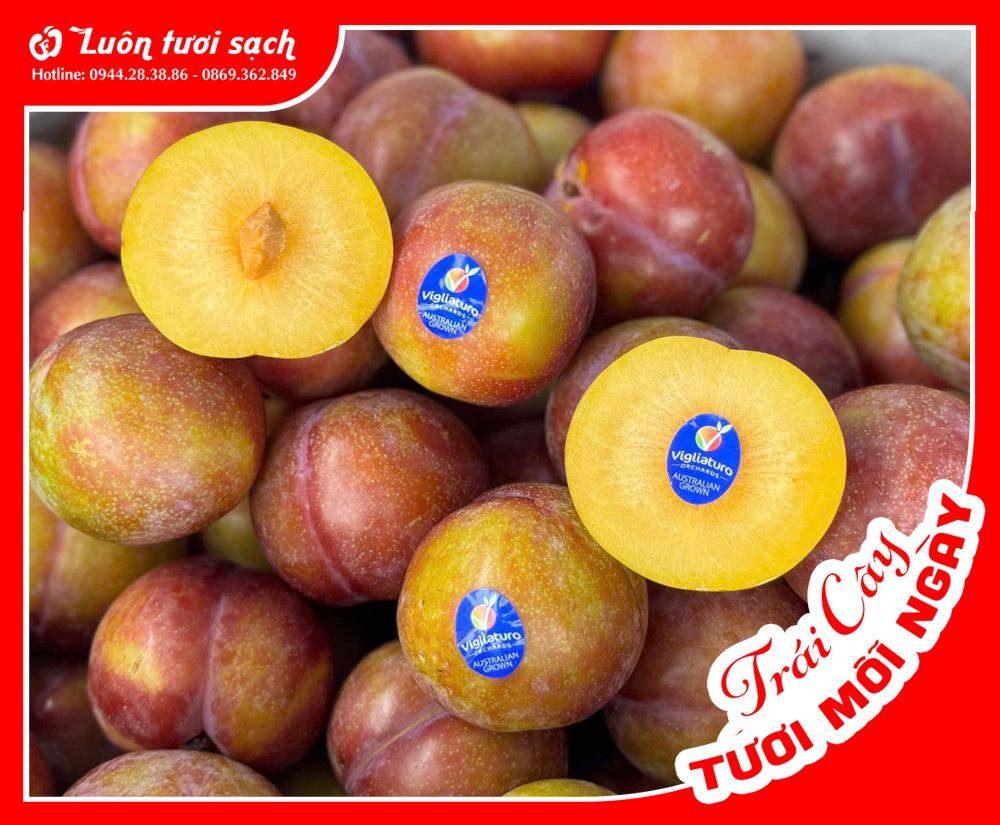 Mận ruột vàng Úc